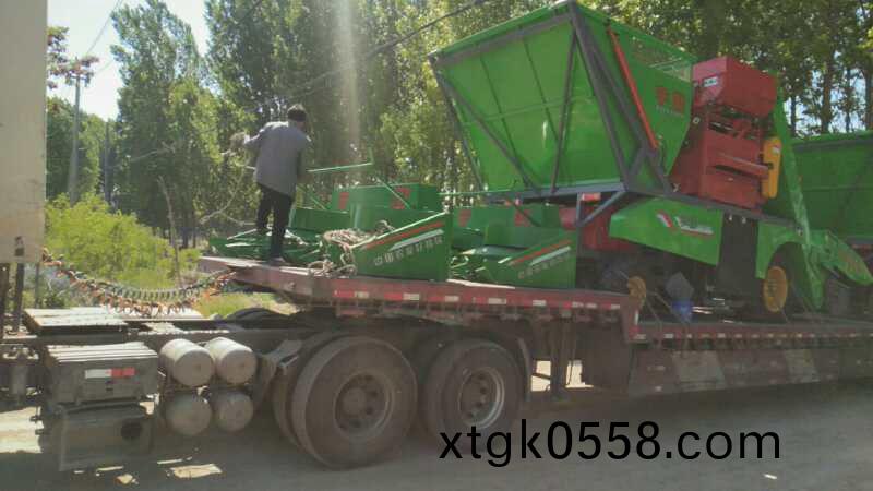 河北咊山東六車連髮