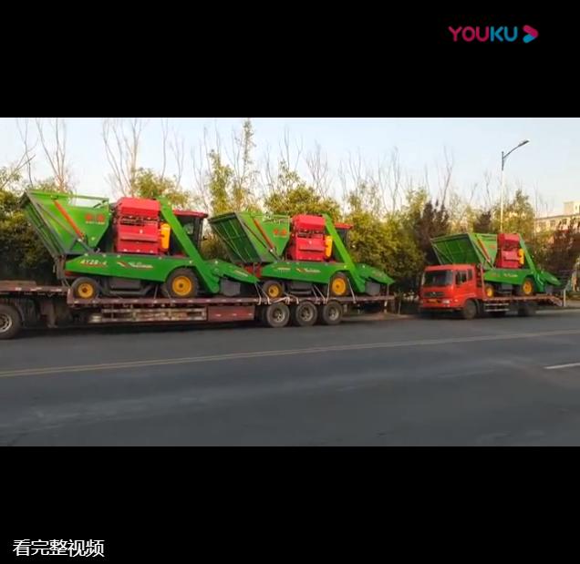 山東五車連髮視頻