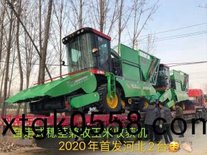 2020年開門紅，2檯衕時髮貨